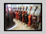 cello store 9a.jpg